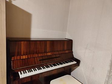 Musiqi alətləri: “Belarus” markalı - Korpus: parlaq qəhvəyi taxta — 1
