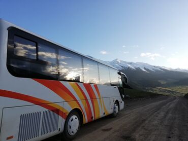 водител фура: Водитель BCD. Большой стаж вождения здесь и зарубежом буду рад вашим