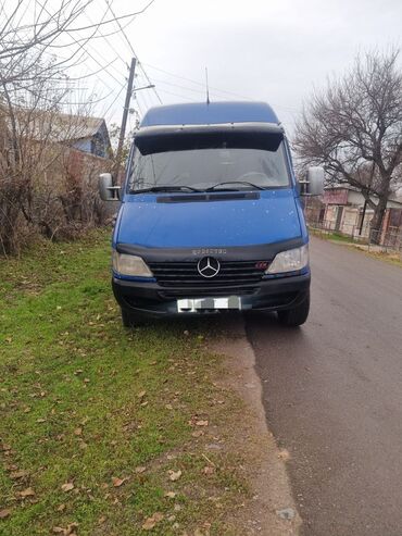 Mercedes-Benz: Mercedes-Benz Спринтер: 2004 г., 2.9 л, Механика, Дизель, Бус