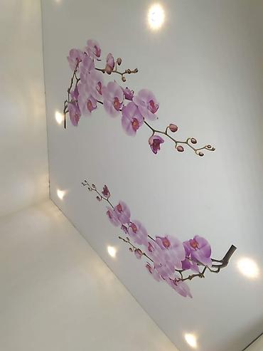 Другие товары для дома: Натяжные потолки — 10