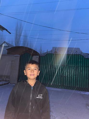 Топы и рубашки: Рубашка, цвет - Черный — 1