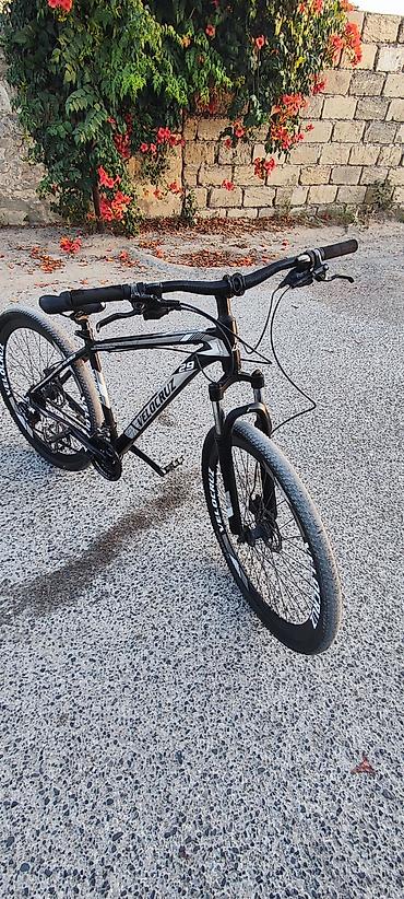 velsobed: Velocruz 29 ölçülü dağ velosipedi Xüsusiyyətlər: - Çərçivə: yüngül və — 3