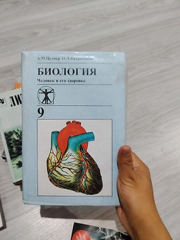 Набор школьных учебников для 8–9 классов. Состояние вполне хорошее. В