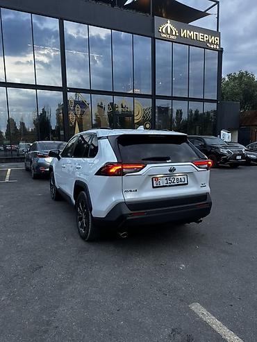 2023: Toyota RAV4: 2023 г., 2.5 л, Гибрид, Кроссовер — 7