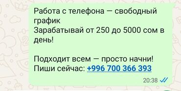 Сетевой маркетинг: Работа с телефона — свободный график Зарабатывай от 250 до 5000 сом в