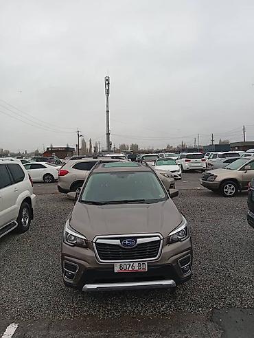 Subaru: Subaru Forester: 2020 г., 2.5 л, Вариатор, Бензин, Кроссовер — 3