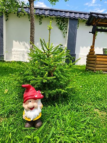 Bağ, çöl masa və oturacaq dəstləri: 🏡 Qəbələdə mərkəzdə dağ mənzərəli 8 nəfərlik sakit ərazidə yeni — 14