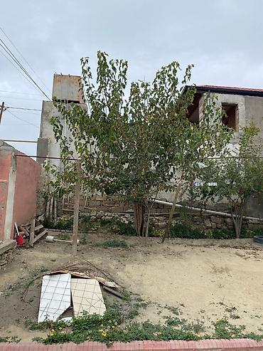 zig evler: 2 sot, Tikinti, Mülkiyyətçi — 1