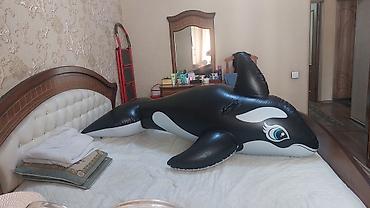 Бассейны: Надувная игрушка-косатка от Intex для плавания, выполненная в — 9