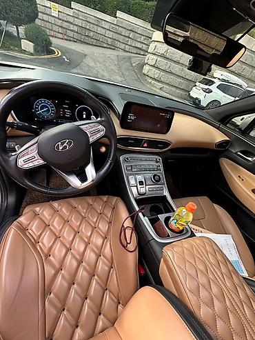 купить дверные ручки: Hyundai Santa Fe: 2021 г., 1.6 л, Гибрид, Кроссовер — 8