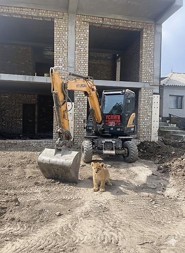 Услуги экскаватора: Экскаватор | Траншеи — 6