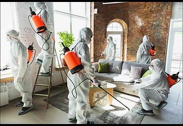 Дезинфекция, дезинсекция: Профессиональная дезинсекция от клопов и тараканов - Комплексная — 1