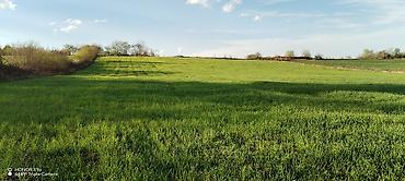 Torpaq sahələrinin satışı: Tikinti, Mülkiyyətçi — 10