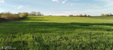 Torpaq sahələrinin satışı: Tikinti — 24