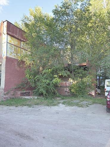 Продажа зданий: Здание, 1027 м² — 7