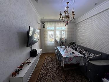 qesr: Masazır, 3 otaqlı, Yeni tikili, 51 kv. m — 1