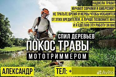 для травы: Уборка территории, Стрижка газона — 2