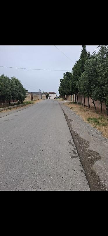 yeni tikili evler: 5 sot, Mülkiyyətçi, Kupça (Çıxarış) — 1