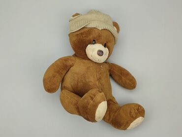 Mascots: Mascot Teddy bear, condition - Good