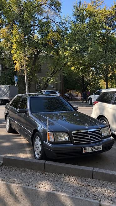Mercedes-Benz S-Class: 1995 г., 5 л, Автомат, Бензин, Седан