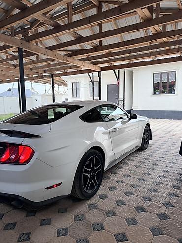 для круп: Ford Mustang: 2018 г., 2.3 л, Купе — 2