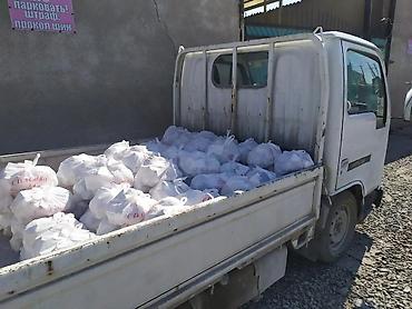 Другое: Бесплатная доставка — 16