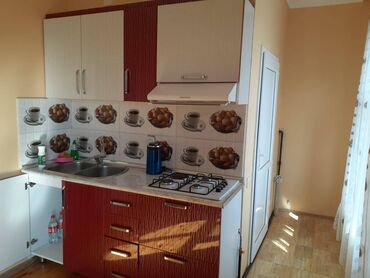 Uzunmüddətli kirayə evlər: 198 kv. m, 5 otaqlı — 13