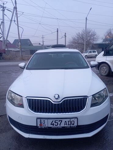 Skoda: Skoda Octavia: 2016 г., 1.6 л, Автомат, Бензин, Седан — 1