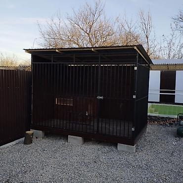 Зоотовары: Делаю вольеры для собак размер данного вольера 3м на 2 м полностью — 2