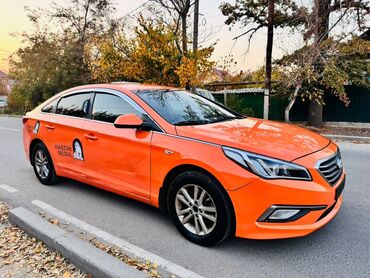бампер на соната: Hyundai Sonata: 2019 г., 2 л, Автомат, Газ, Седан