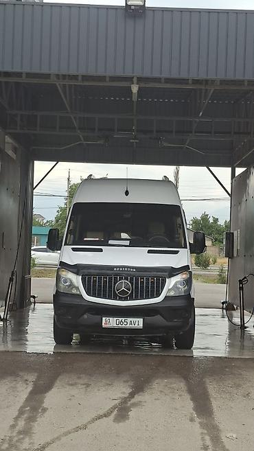 шымкент: Баруучу жер: Түп, Орундардын саны: 20, Лицензия №: 00В003693 — 8