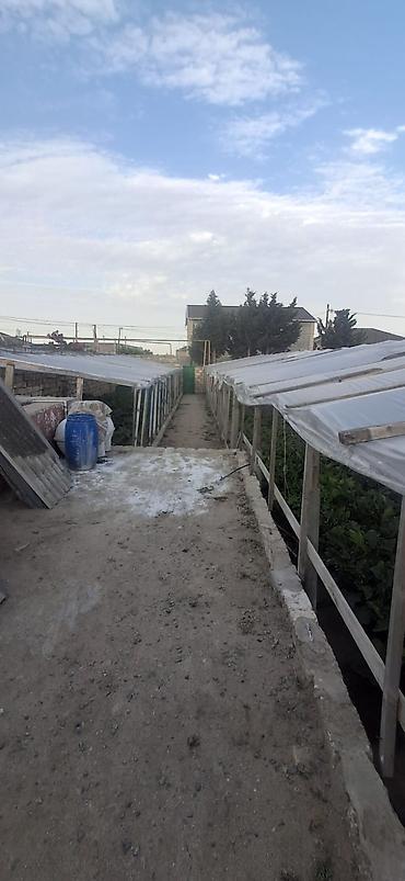Torpaq: Kənd təsərrüfatı — 6