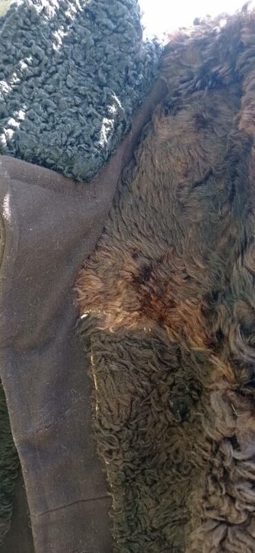 Другая мужская одежда: Тон сатылат каракуль жака койдун терисинен жазалган сырты калын — 2