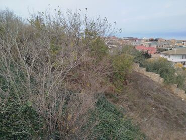 Torpaq sahələrinin satışı: 10 sot, Tikinti, Maklerlər narahat etməsin, Kupça (Çıxarış) — 2