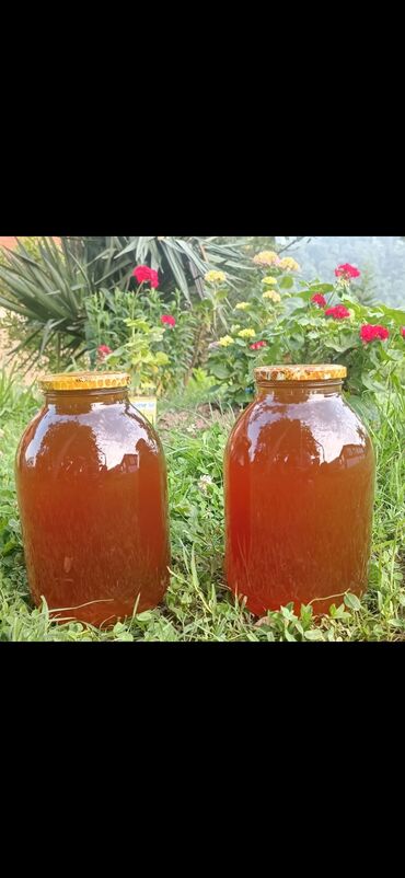 Bal: Arının bütün məhsulları Satışdadı — 9