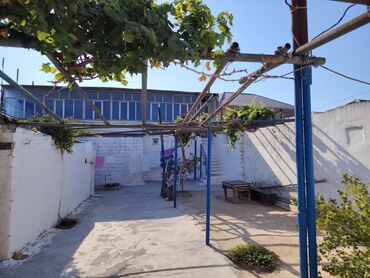 Həyət evləri və villaların satışı: Satılır: həyətli ev sahəsi və tikililər - Giriş: geniş metal darvaza — 4
