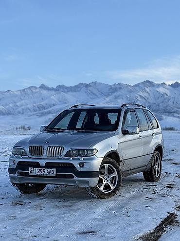 BMW: BMW X5 M: 2003 г., 3 л, Автомат, Дизель, Кроссовер — 1