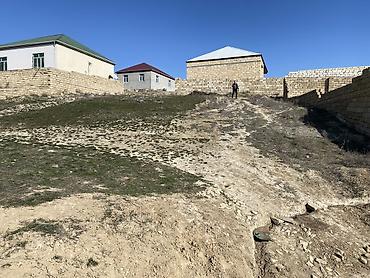 berde: Tikinti — 5