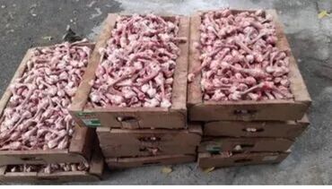 Mini: Mini : 1.4 l | 2006 il 285000 km Van/Minivan — 12