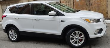 Ford: Ford Escape: 1.5 l | 2019 il 195400 km Ofrouder/SUV — 10