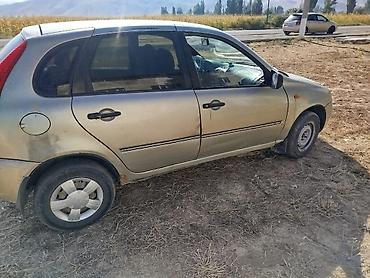 skoda rapid: ВАЗ (ЛАДА) Kalina: 2007 г., 1.6 л, Механика, Бензин, Хэтчбэк — 1