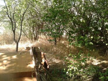 Həyət evləri və villaların satışı: 7 otaqlı, 150 kv. m, Kredit yoxdur, Orta təmir — 26