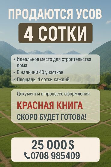 участок в ороке: 4 соток, Бизнес үчүн, Башкы ишеним кат