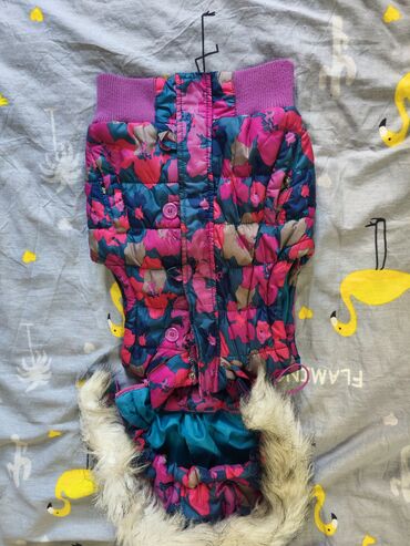 Верхняя одежда: Детская верхняя одежда(куртки, комбинезон) для девочки на 3-4 года и — 2