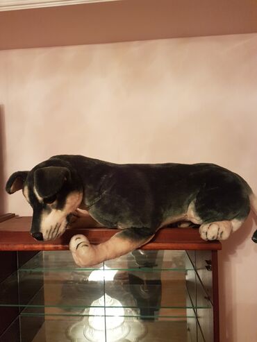 Oyuncaqlar: Oyuncaq it. Çin istehsalı. Uzunluğu 70 - 75 sm. Qiyməti 50 - manat -da lalafo.az — 3 Oyuncaqlar: Oyuncaq it. Çin istehsalı. Uzunluğu 70 - 75 sm. Qiyməti 50 - manat — 3