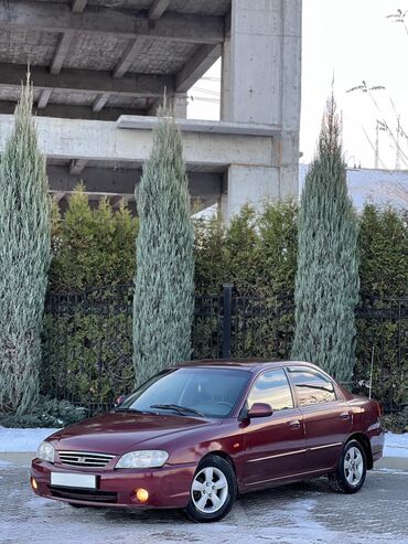 Kia: Kia Spectra: 2008 г., 1.6 л, Механика, Бензин, Седан