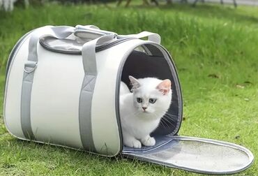 кошка домик: Портативный рюкзак для кошек - дизайн из дышащего сетчатого материала