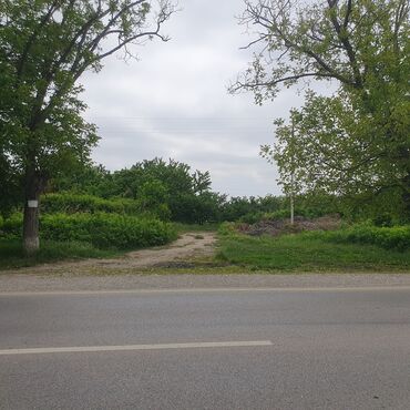 Torpaq sahələrinin satışı: 106 sot, Kənd təsərrüfatı, Mülkiyyətçi, Kupça (Çıxarış) — 12