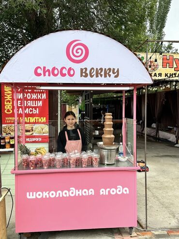 какой бизнес открыть в бишкеке: Продажа бизнеса Электроника