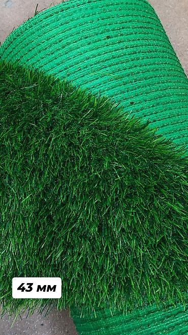 Газон: 🌞 Когда хочется лета - постелите газон! 🌿 Зелёный уголок у себя дома — 8